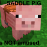 persian_pig