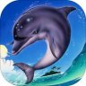 Ecco The Dolphin